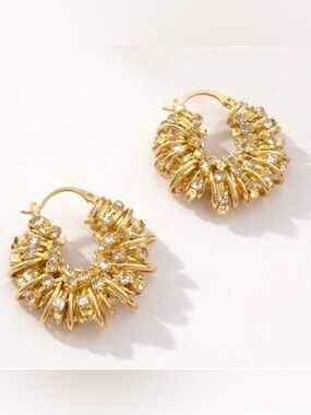 Pave Crystals Hoop Earrings